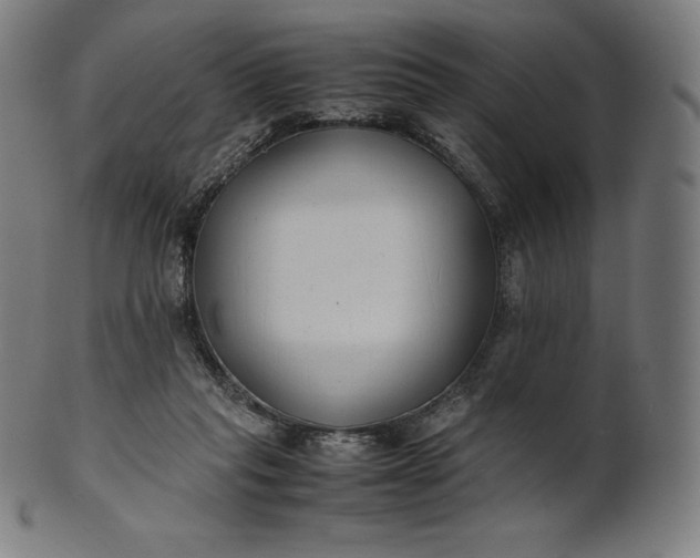 X0000101190261200807110952