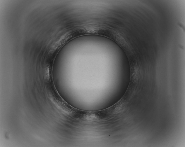X0000101190262200807110952