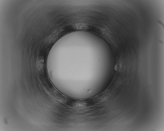 X0000101190263200807110952