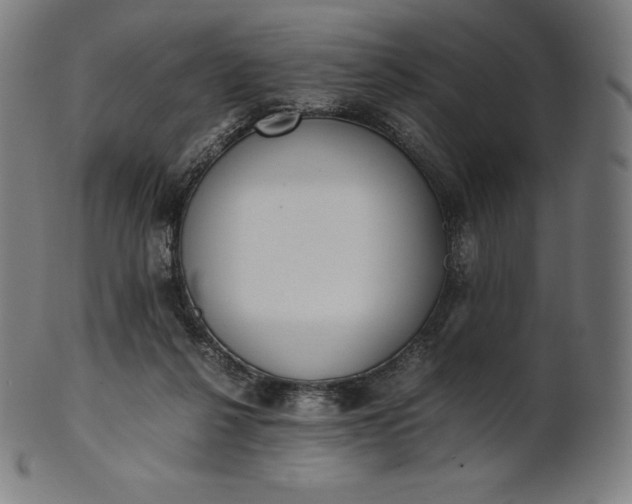 X0000101190264200807110952