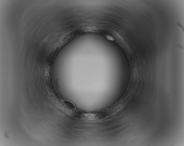 X0000101190265200807110952