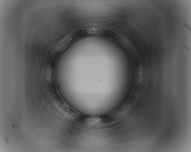 X0000101190266200807110952