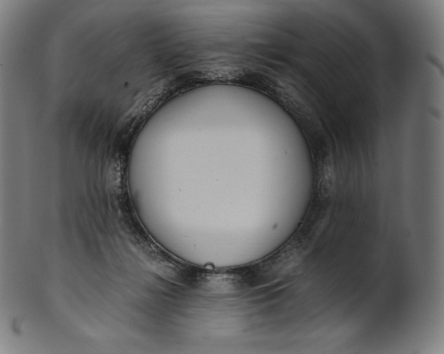 X0000101190268200807110952