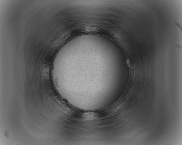X0000101190269200807110952