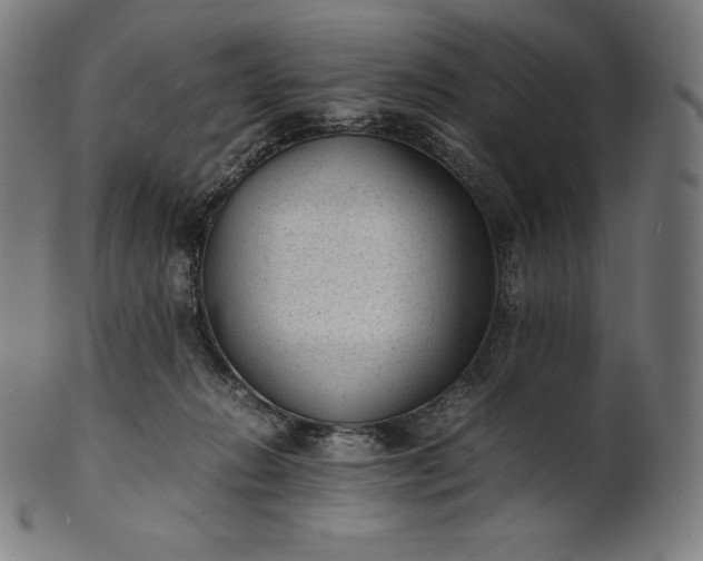 X0000101190270200807110952
