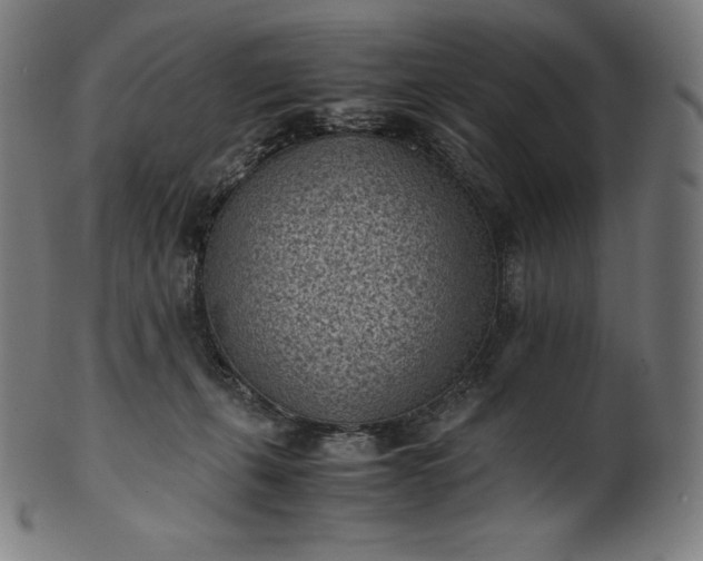 X0000101190271200807110952