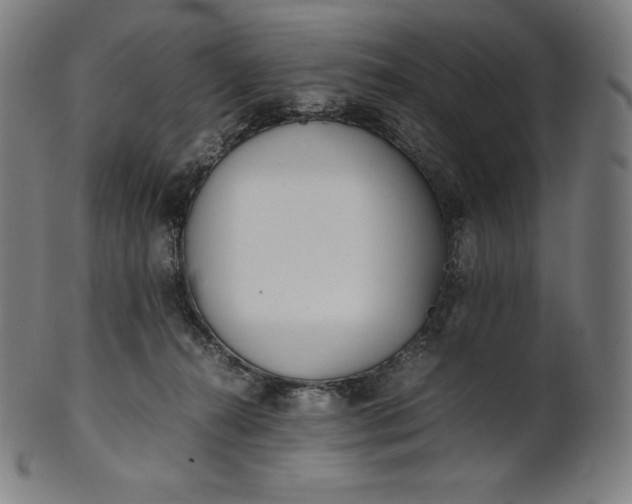 X0000101190272200807110952