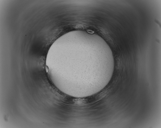 X0000101190273200807110952