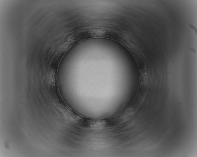 X0000101190274200807110952