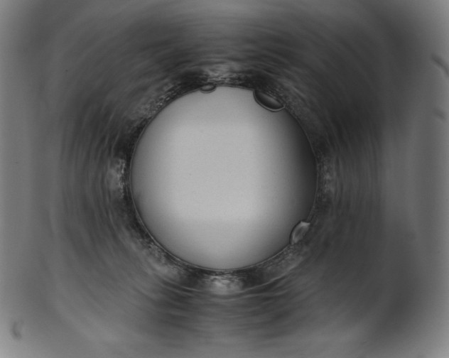 X0000101190275200807110952