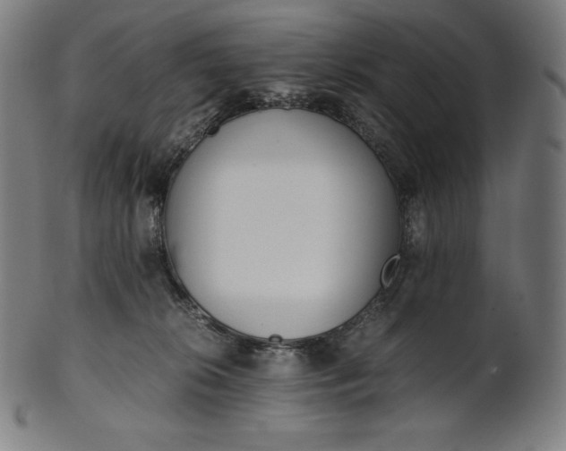X0000101190276200807110952