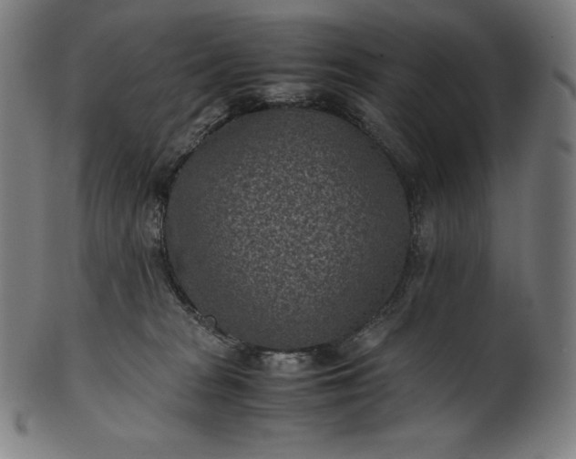 X0000101190277200807110952