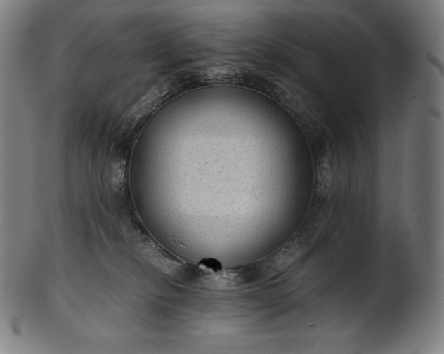 X0000101190278200807110952