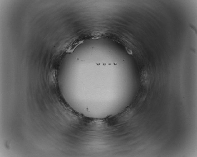 X0000101190280200807110952