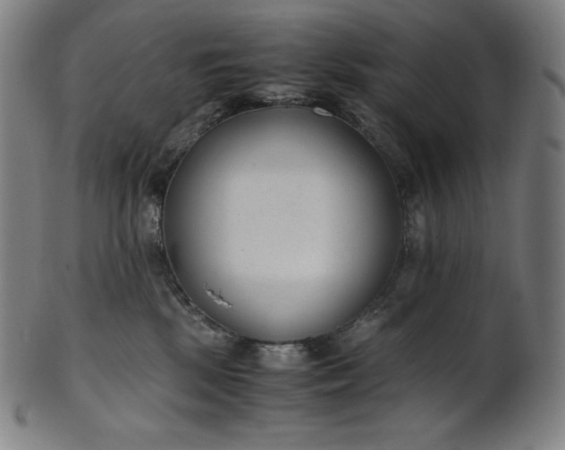 X0000101190281200807110952
