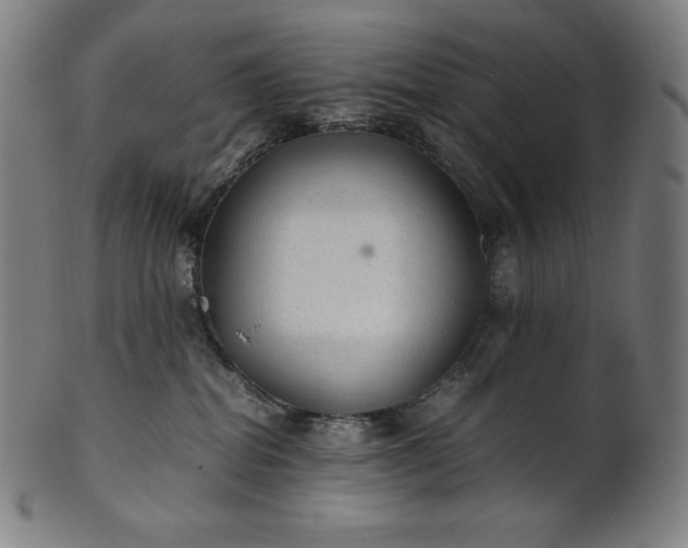 X0000101190282200807110952