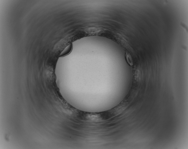 X0000101190283200807110952