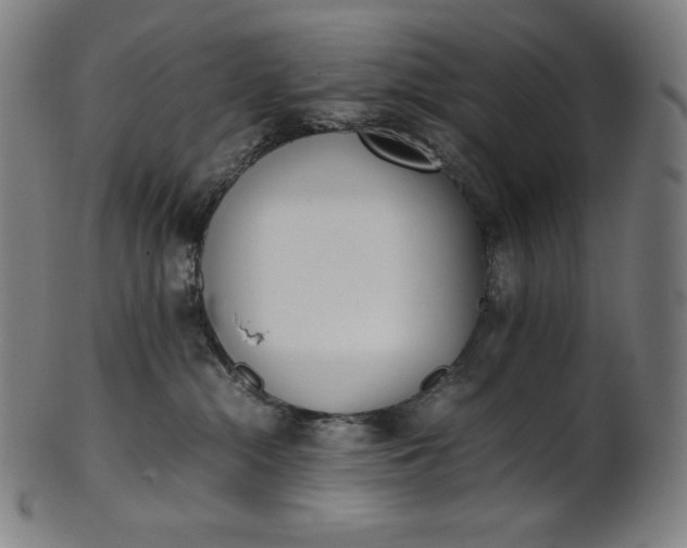 X0000101190284200807110952