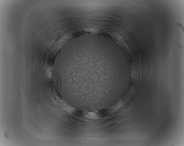 X0000101190285200807110952