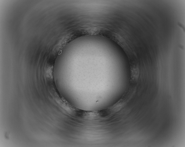 X0000101190286200807110952