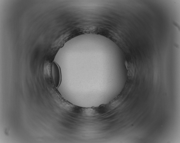 X0000101190287200807110952