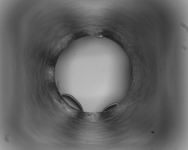 X0000101190288200807110952