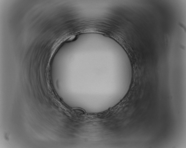 X0000101190289200807110951