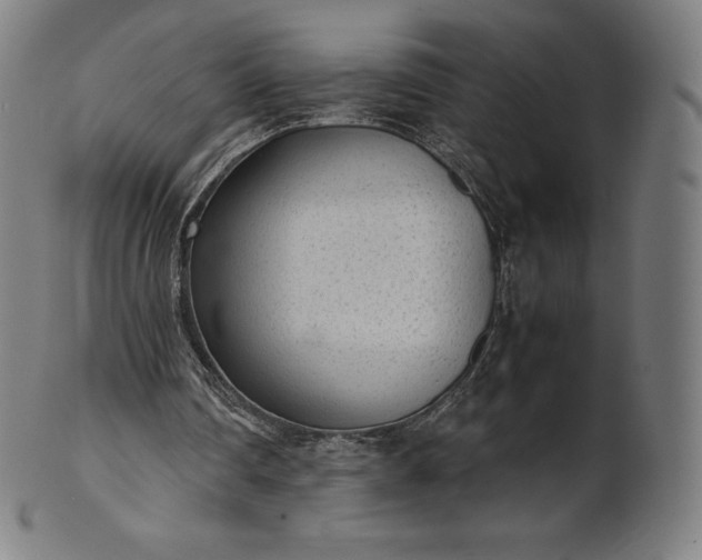 X0000101190290200807110951