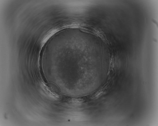 X0000101190292200807110951