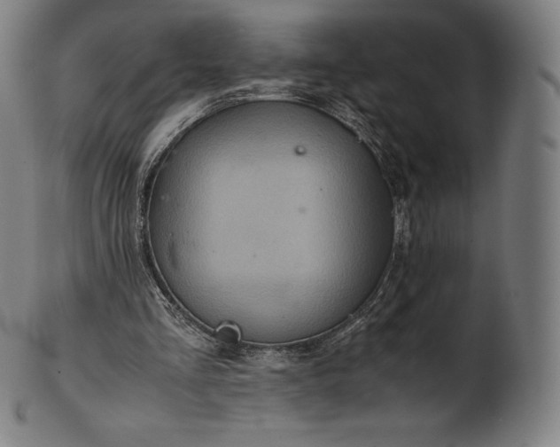 X0000101190293200807110951
