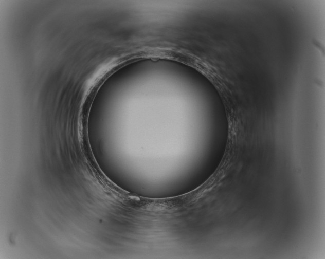 X0000101190294200807110951