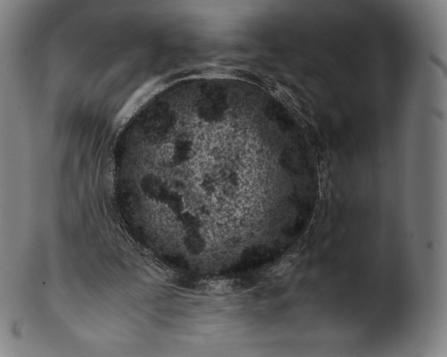 X0000101190295200807110951
