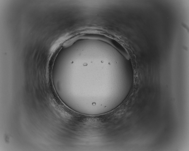 X0000101190296200807110951