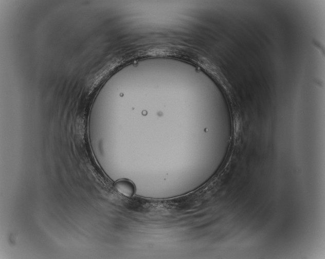 X0000101190297200807110951