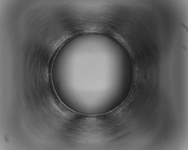 X0000101190298200807110951