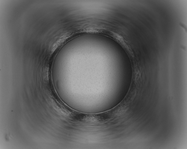 X0000101190299200807110951