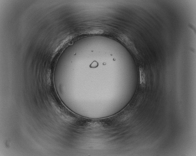 X0000101190300200807110951