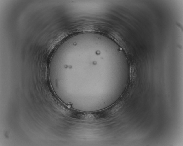 X0000101190301200807110951