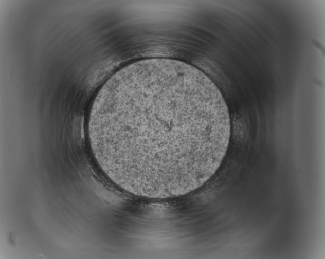 X0000101190302200807110951