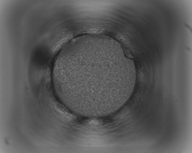 X0000101190303200807110951
