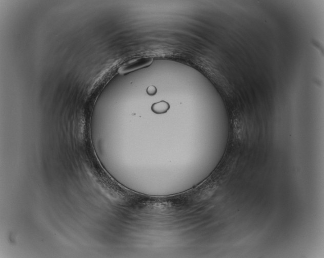 X0000101190304200807110951