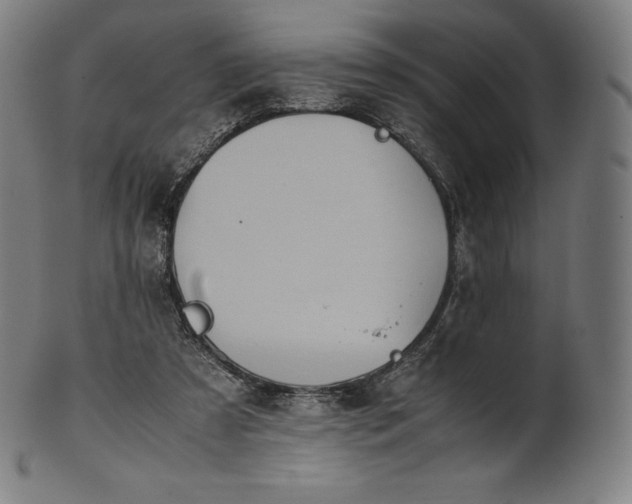 X0000101190305200807110951