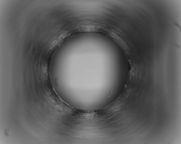 X0000101190306200807110951