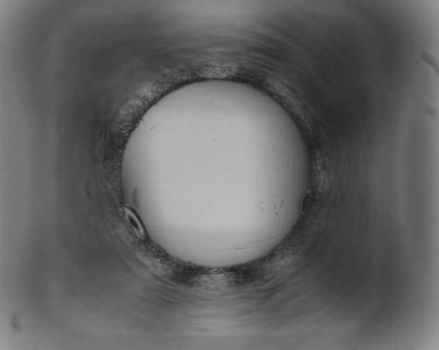 X0000101190307200807110951