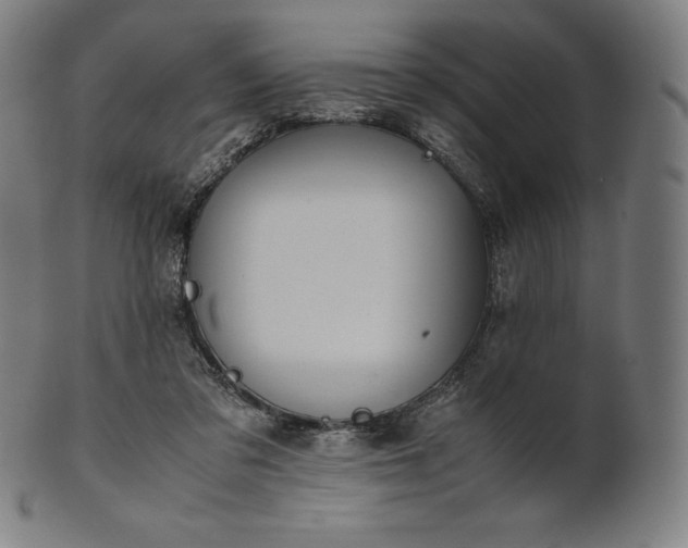 X0000101190309200807110951