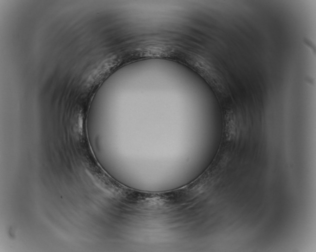 X0000101190310200807110951