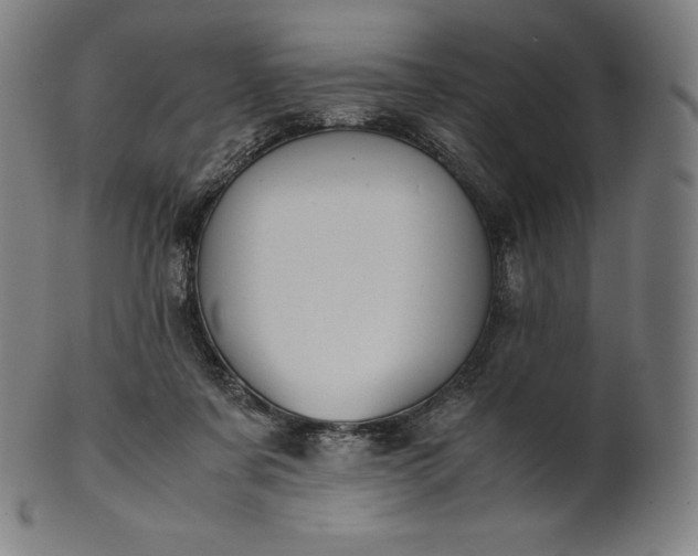 X0000101190311200807110951