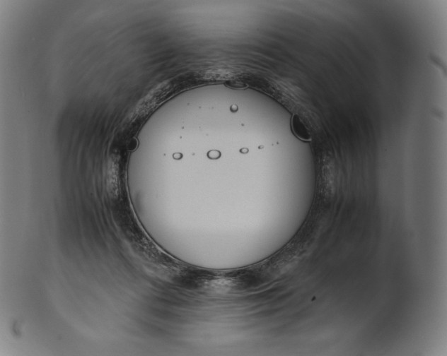 X0000101190312200807110951