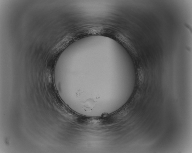 X0000101190313200807110951