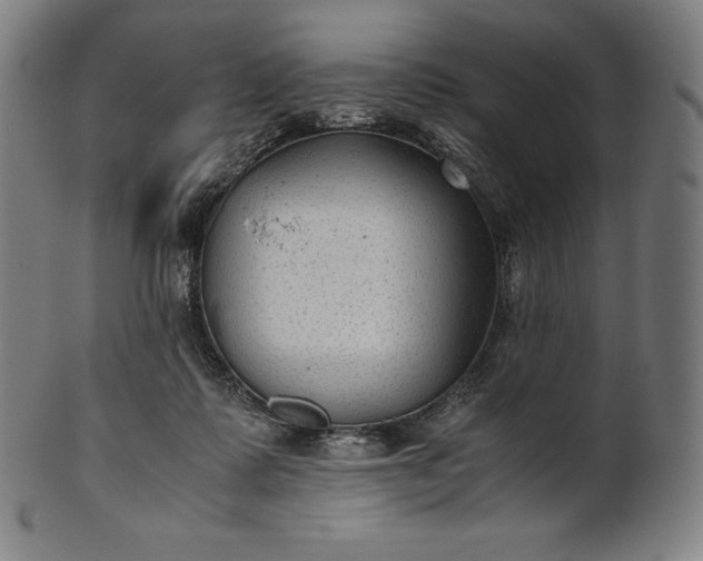 X0000101190315200807110951